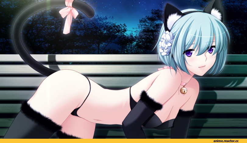 Неко, gakuen taima holy x moly 1, Animal Ears, Anime