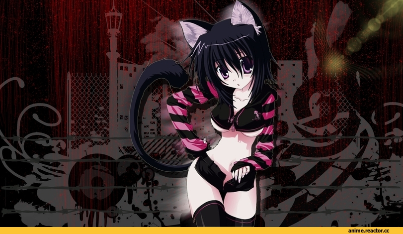 Неко, Animal Ears, Anime