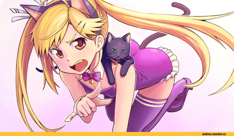 Неко, nyan koi, Animal Ears, Anime
