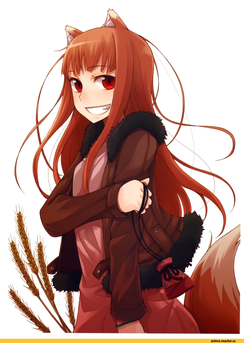 Horo, Spice and Wolf, Inumimi, Animal Ears, Anime