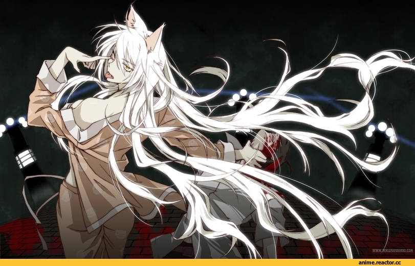Monogatari (Series), Black Hanekawa, Araragi Koyomi, нэко, Animal Ears, Anime