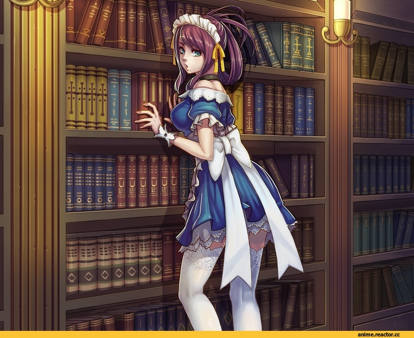Maid, Anime