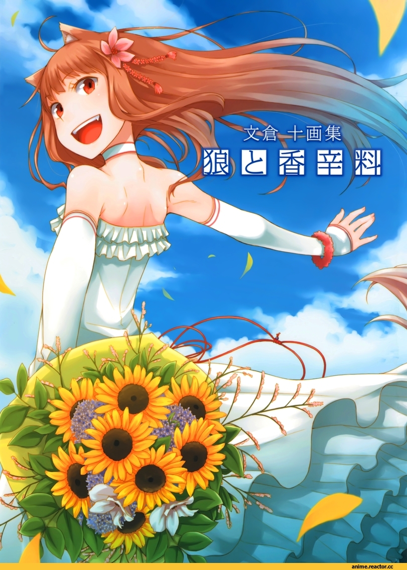 Spice and Wolf, Horo, Inumimi, Animal Ears, Anime