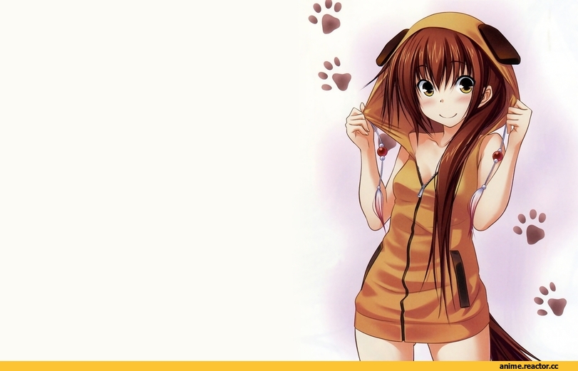 Maji de Watashi ni Koi Shinasai!, Inumimi, Animal Ears, Anime