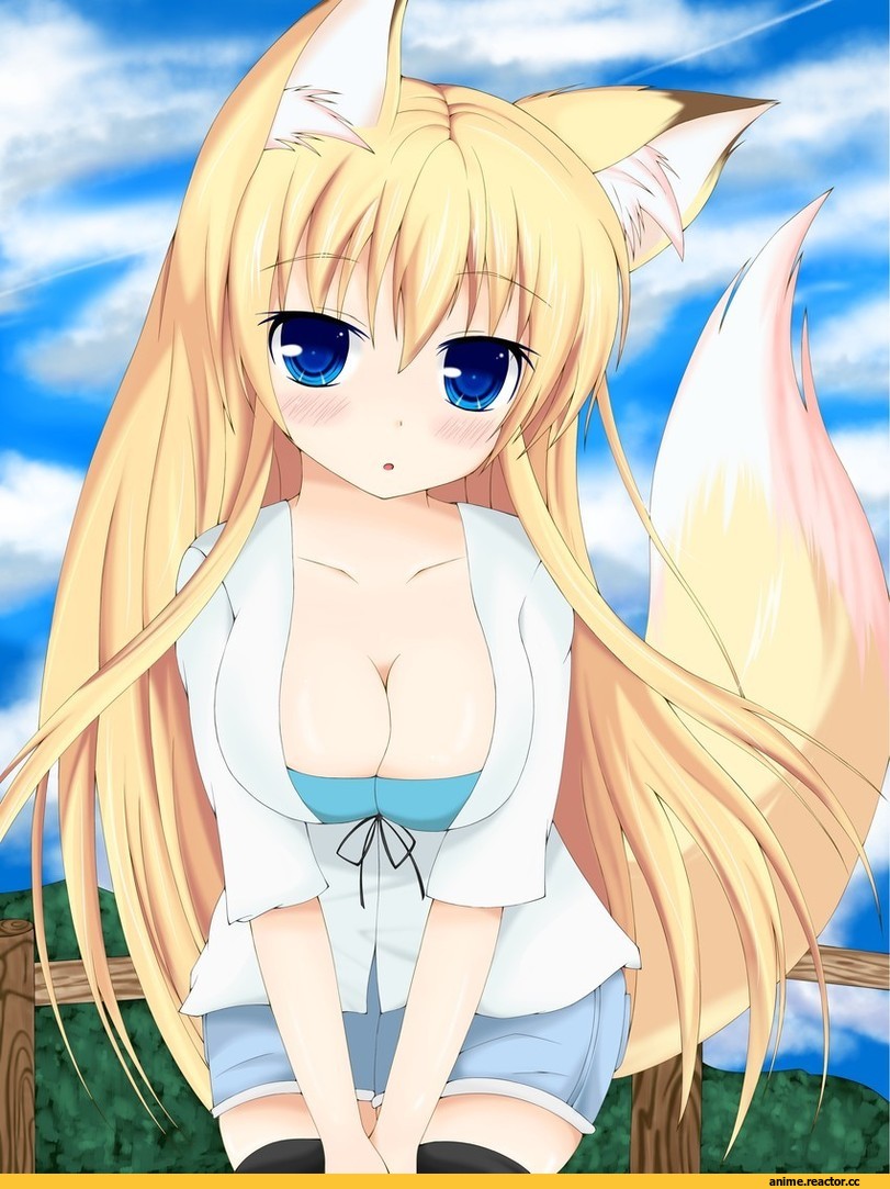 kasumi toshizou, Неко, Animal Ears, Anime
