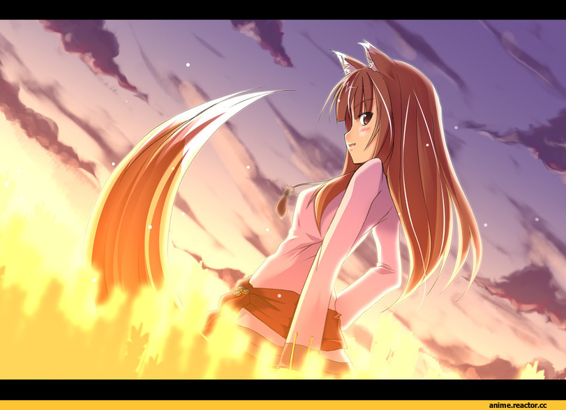 Spice and Wolf, Inumimi, Animal Ears, Anime