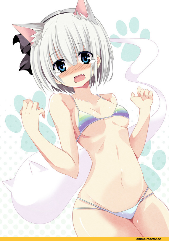 Неко, Konpaku Youmu, Animal Ears, Anime
