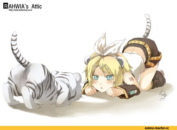 котэ, Неко, Animal Ears, Anime