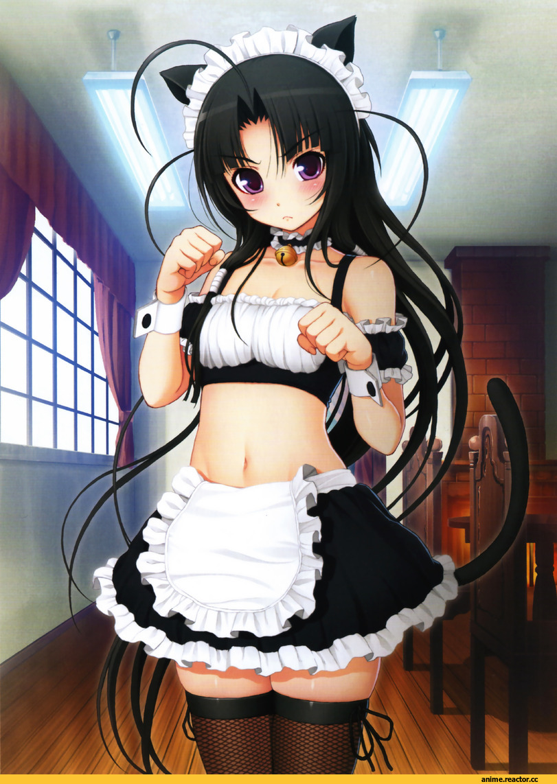Tsuji Santa, sumaga, oki kiki, neko, Animal Ears, Maid, Anime