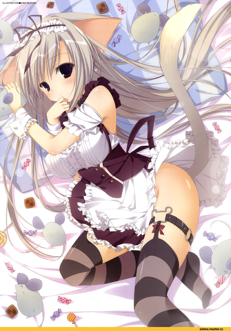 Неко, Animal Ears, Anime