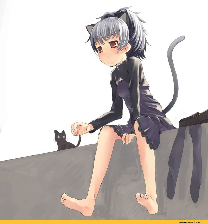 Darker than Black, Yin, neko, Animal Ears, Anime