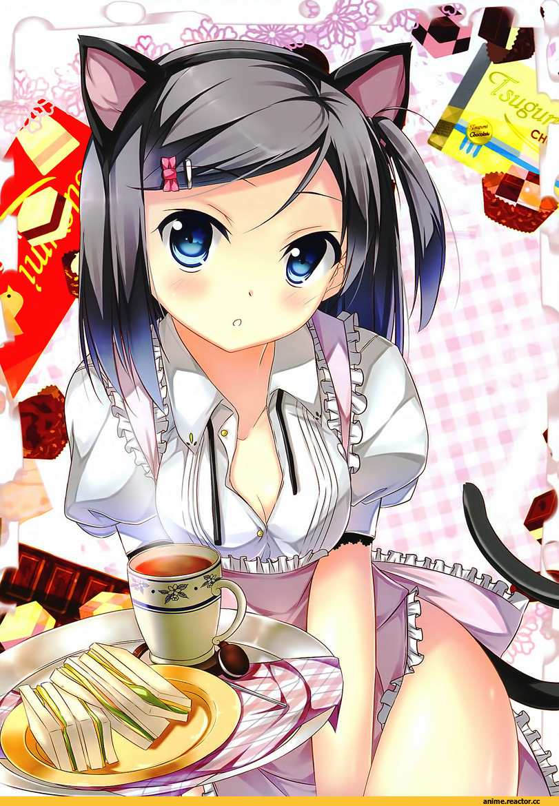 hentai ouji to warawanai neko, Tsutsukakushi Tsukiko, Неко, Animal Ears, Anime