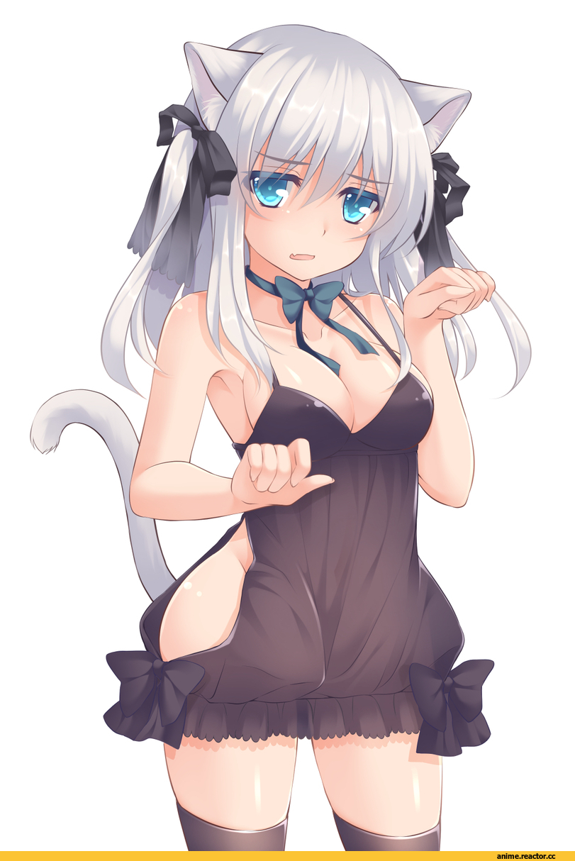 neko, Animal Ears, Anime