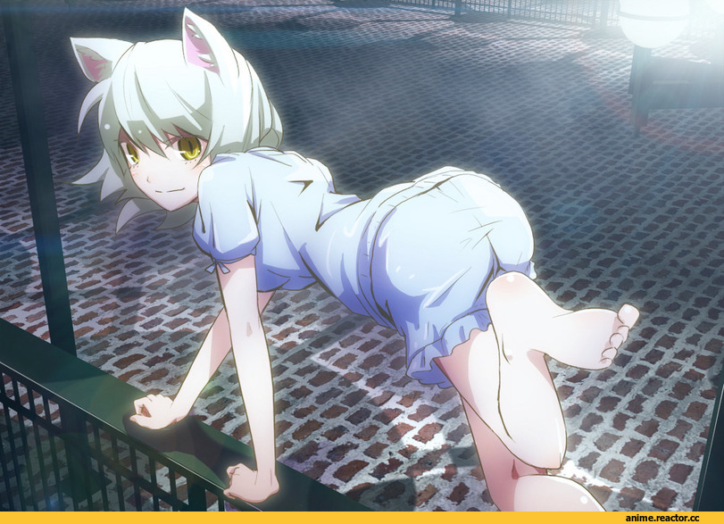 Monogatari, Black Hanekawa, Неко, Animal Ears, Anime