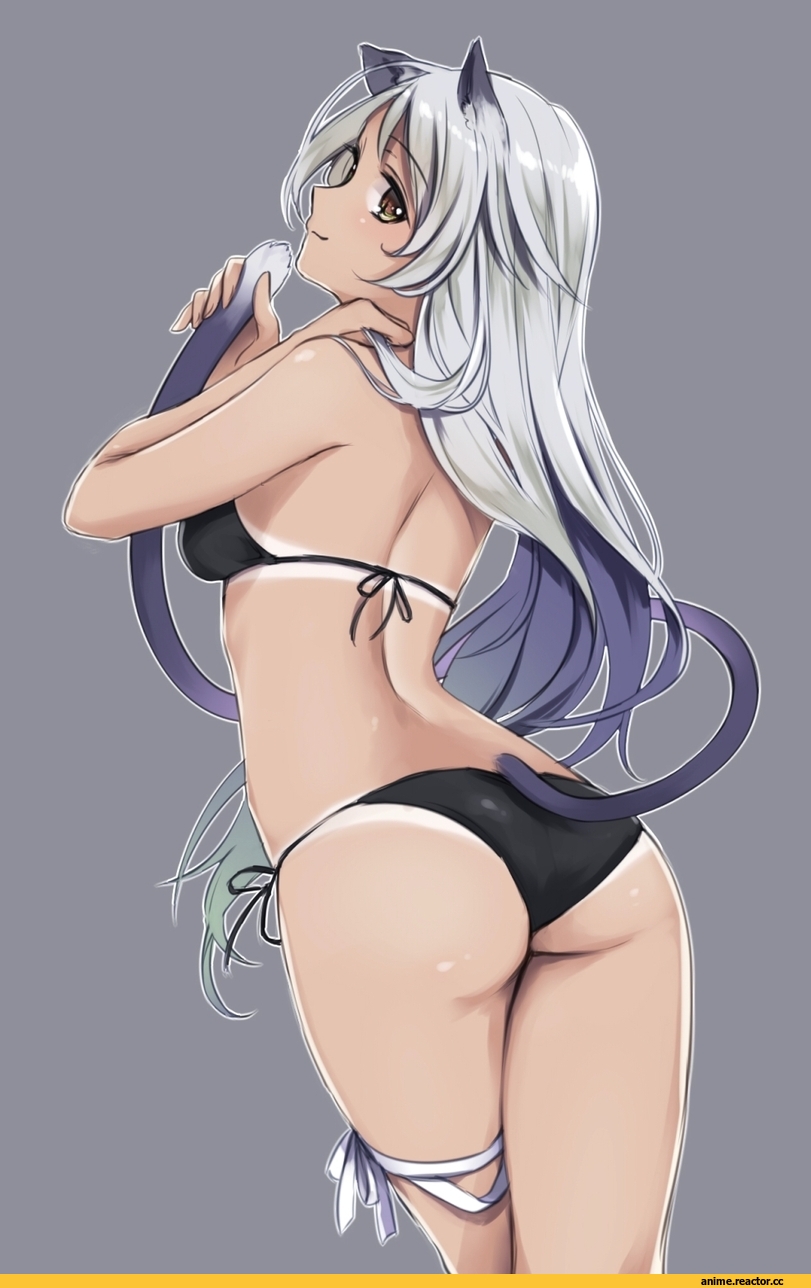 neko, Takeuchi Aya, Animal Ears, Anime