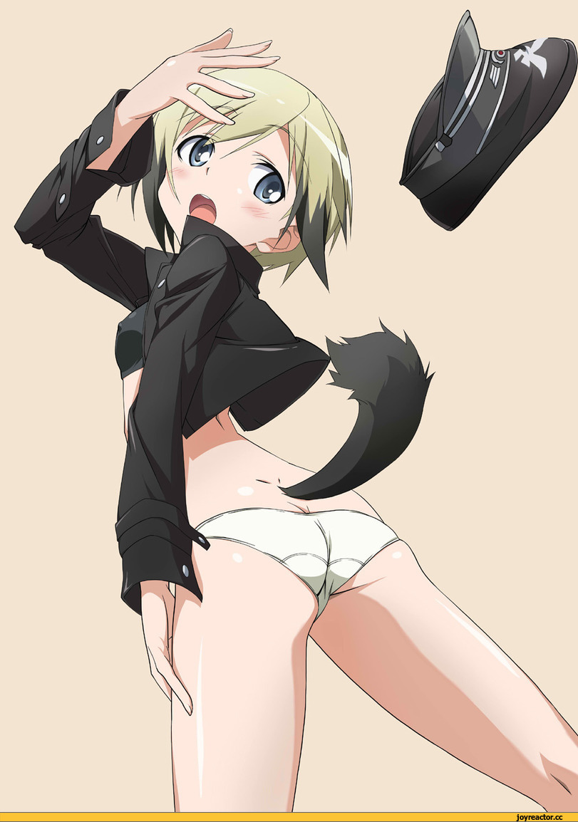 Erica Hartmann, Strike Witches, magu, Animal Ears, Inumimi, Strike Witches (Anime), Anime