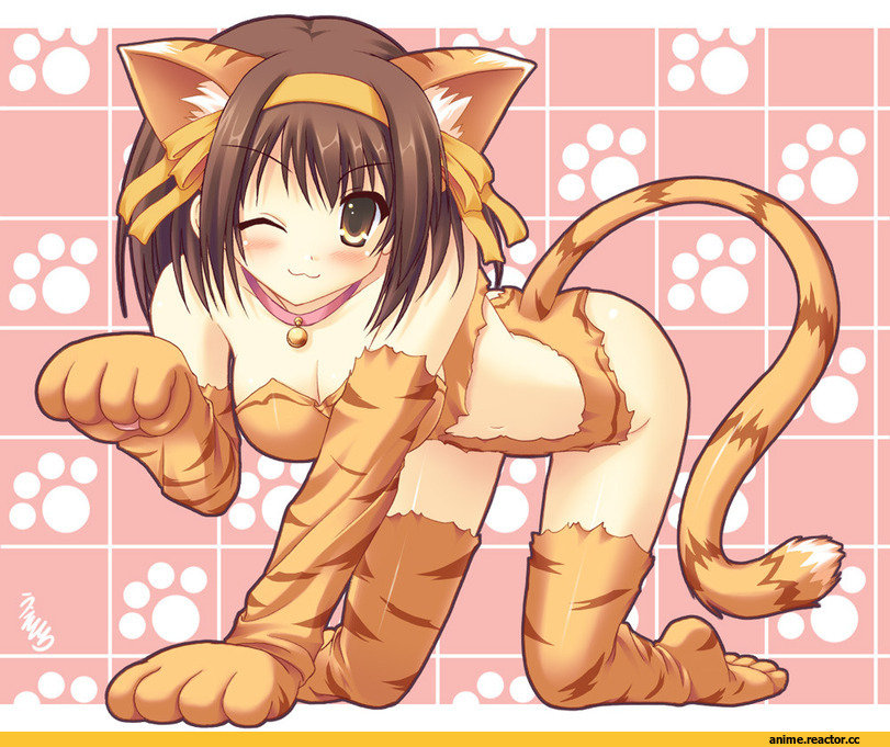 suzumiya haruhi no yuuutsu, Suzumiya Haruhi, Неко, Animal Ears, Anime