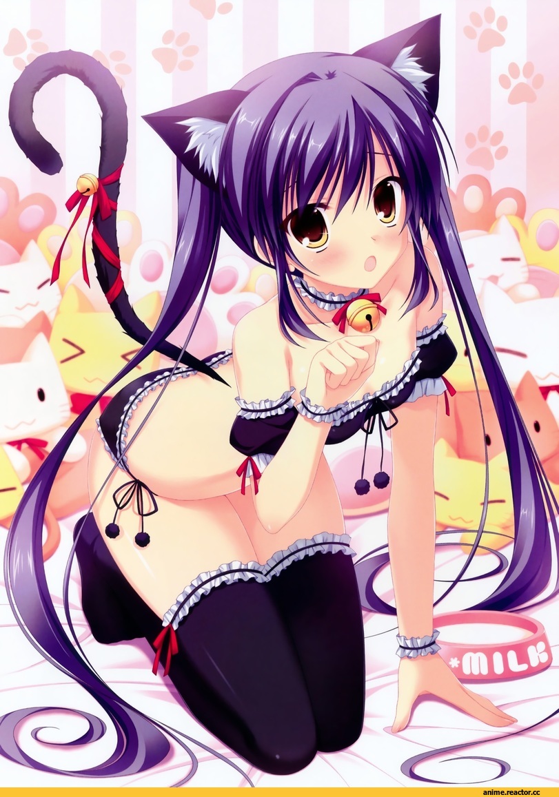 Da Capo, neko, rukawa sara, Animal Ears, Anime