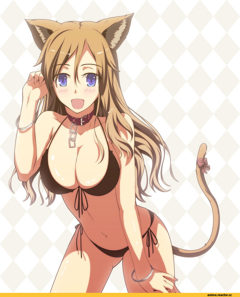 neko, Animal Ears, Anime