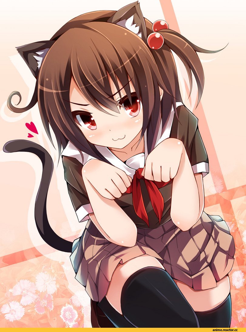 Неко, Animal Ears, Anime