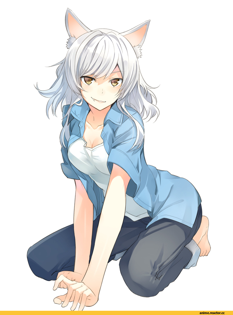 Monogatari (Series), Black Hanekawa, нэко, Animal Ears, Anime