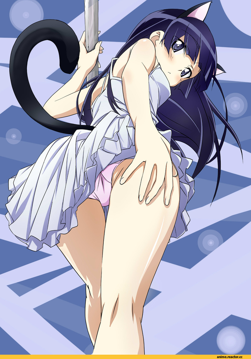 Ore no Imouto ga Konnani Kawaii Wake ga Nai, Gokou Ruri, Неко, Animal Ears, Anime