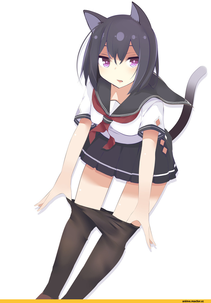 nmaaaaa, neko, Animal Ears, Anime