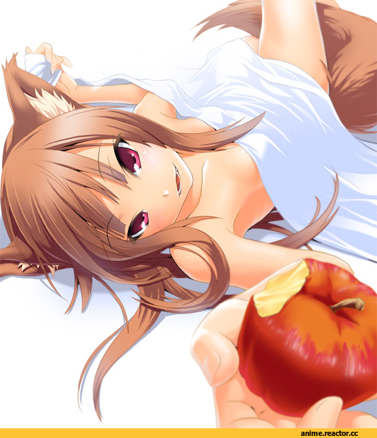 Spice and Wolf, Holo, Inumimi, Animal Ears, Anime