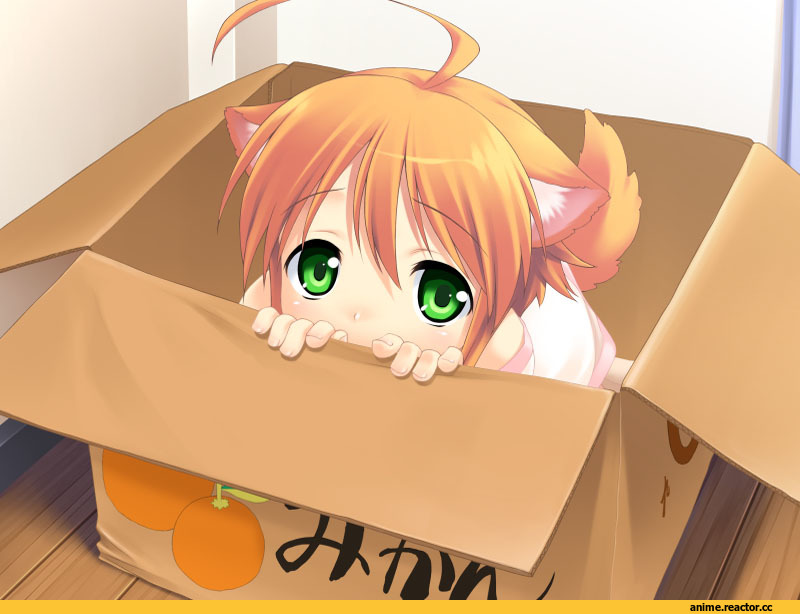 wanko to kurasou, mikan, Неко, Animal Ears, Anime