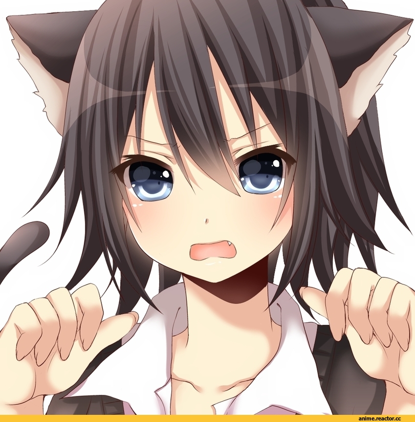 Anime Original, yamasuta, Неко, Animal Ears, Anime Art, Anime