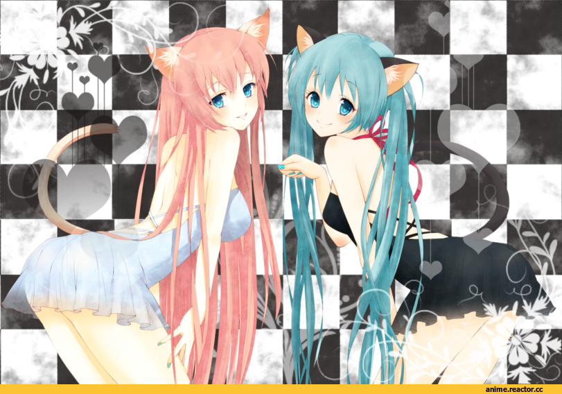 Vocaloid, Hatsune Miku, Megurine Luka, artist yunca, Неко, Animal Ears, Anime