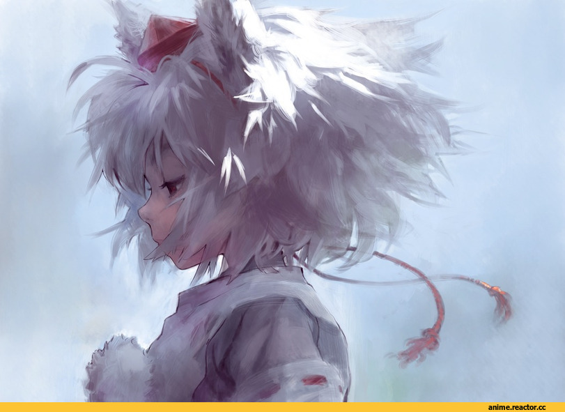 Touhou Project, Inubashiri Momiji, Animal Ears, Inumimi, Anime