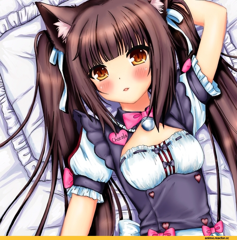 Anime Original, chocolat (sayori), artist seira hirano, Неко, Animal Ears, Anime Art, Anime