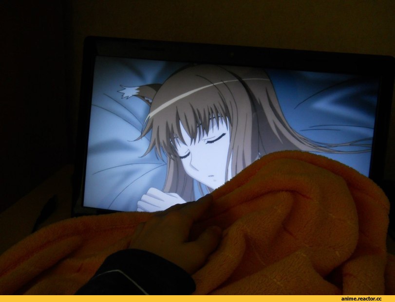 лампово, одиночество, Horo, Spice and Wolf, Animal Ears, Inumimi, Anime