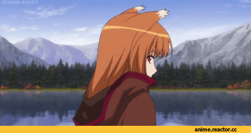 Horo, Spice and Wolf, красивые картинки, гифки, Kemonomimi, Inumimi, Animal Ears, Anime
