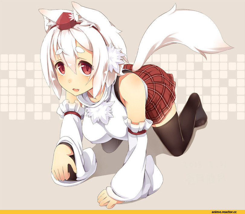 Touhou Project, Inubashiri Momiji, Animal Ears, Inumimi, Anime