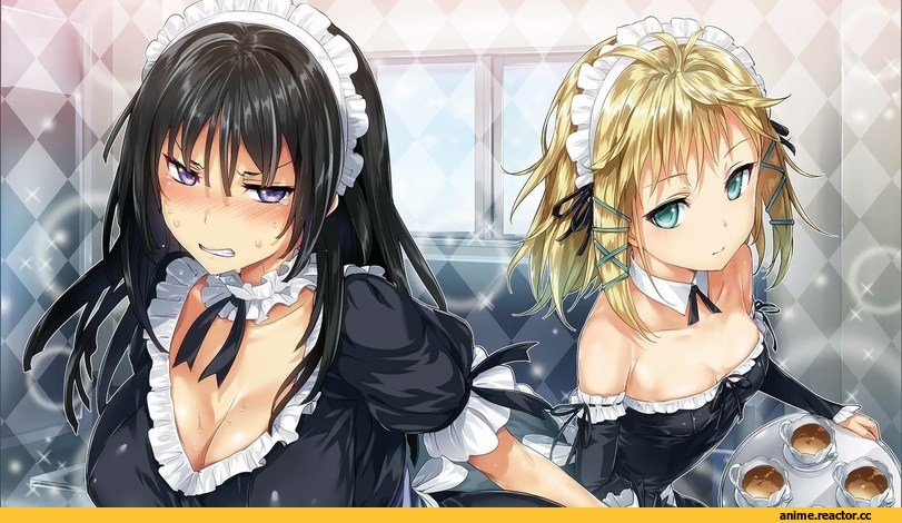 Black Bullet, tendou kisara, tina sprout, Hisashi (nekoman), Maid, Anime