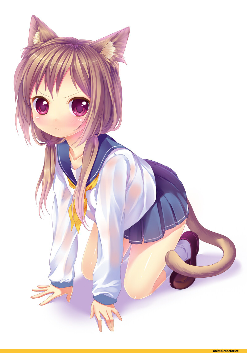 Anime Original, Caidychen, Неко, Animal Ears, Anime Art, Anime