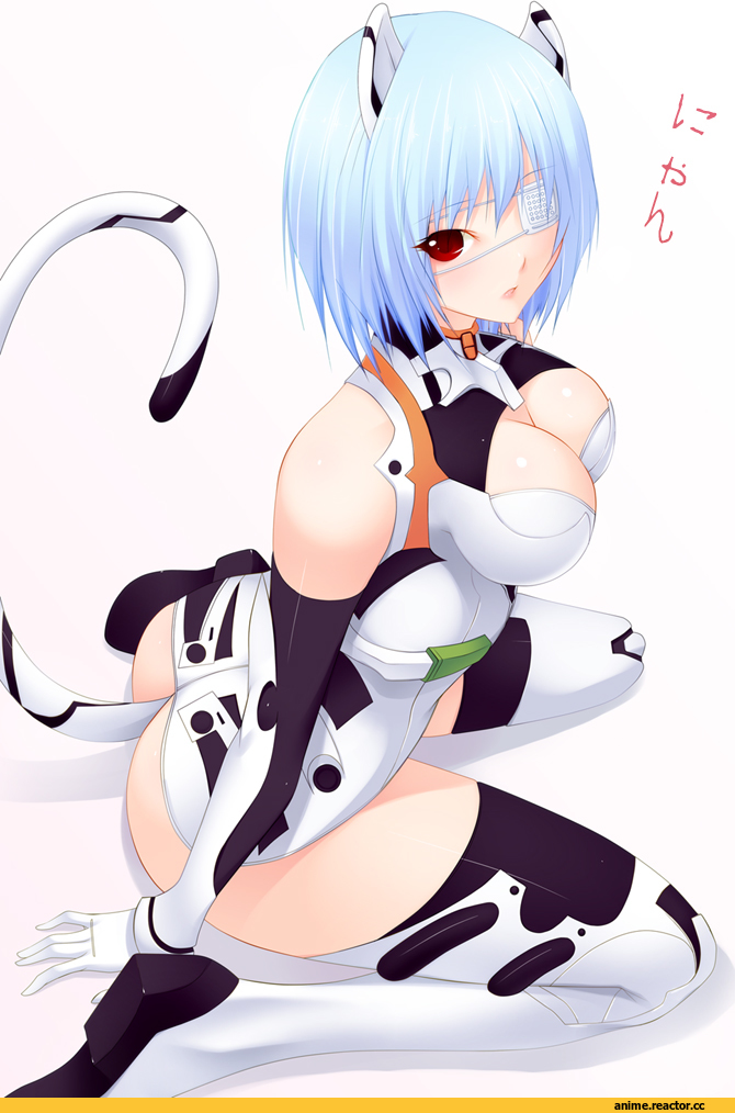 Evangelion, ayanami rei, Shokuyou Mogura, Неко, Animal Ears, Anime