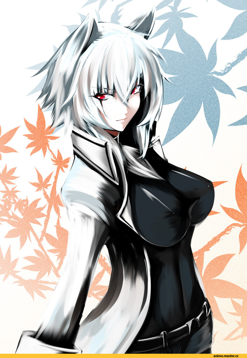 Touhou Project, Inubashiri Momiji, под катом еще, Animal Ears, Inumimi, Anime