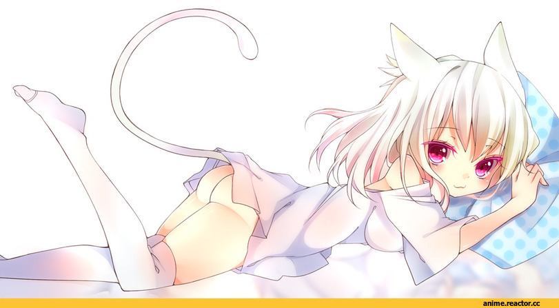 Anime Original, chico152, Неко, Animal Ears, Anime Art, Anime