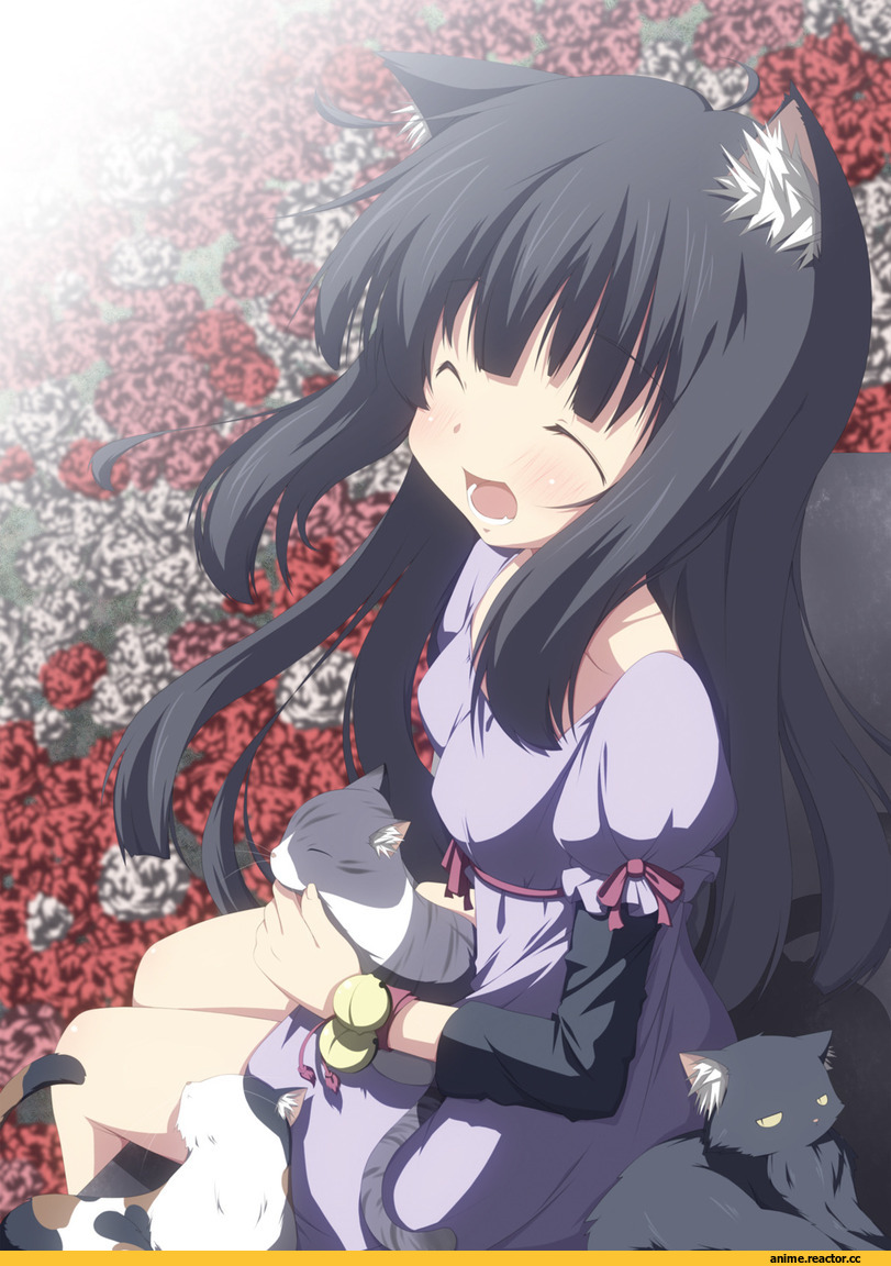 Anime Original, yuzuki kei, Неко, Animal Ears, Anime Art, Anime