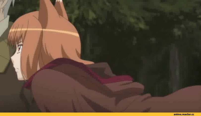 Horo, Spice and Wolf, гифки, Kemonomimi, Lawrence, Animal Ears, Inumimi, Anime