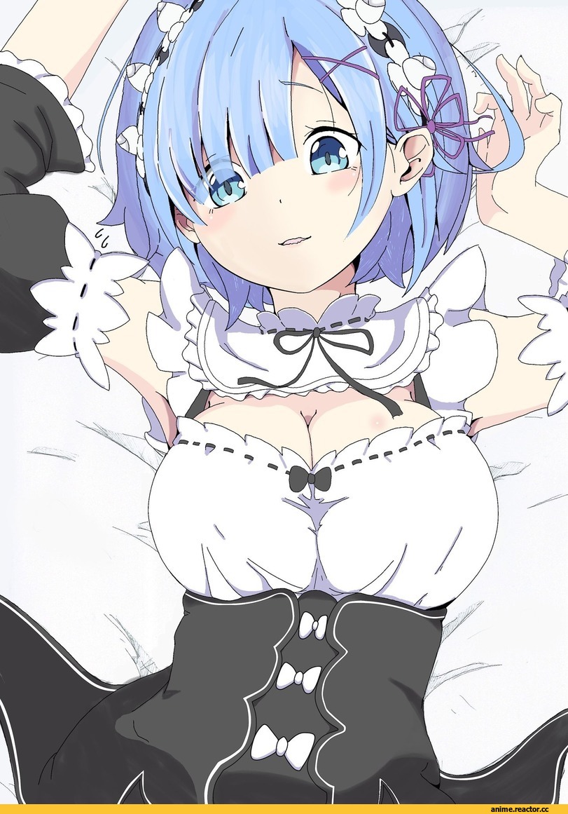 Re Zero Kara Hajimeru Isekai Seikatsu, Rem (re zero), hotaru a s, Anime
