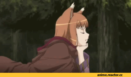 Spice and Wolf, гифки, Horo, Anime Гифки, Kemonomimi, Animal Ears, Inumimi, Anime