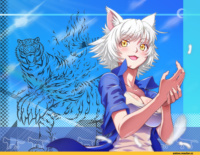 neko, Monogatari Series, Tsubasa Hanekawa, Animal Ears, Anime