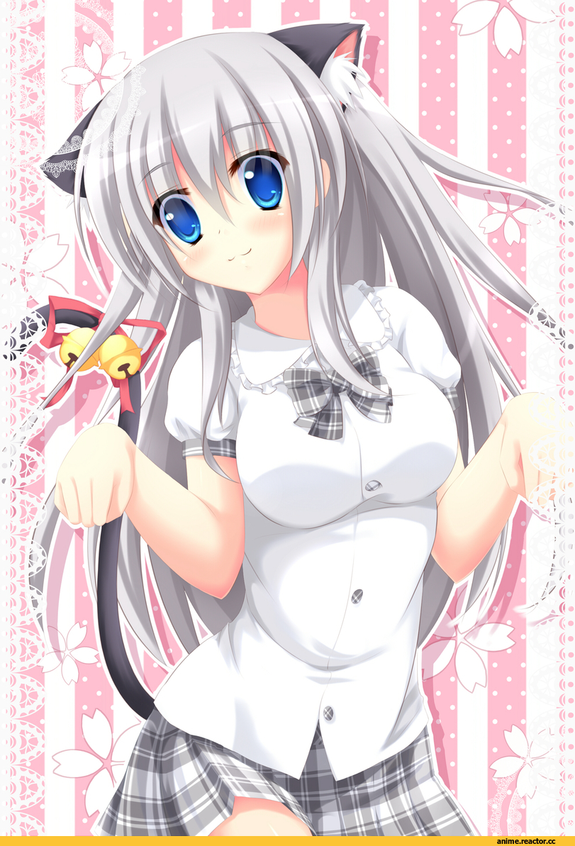neko, Animal Ears, Anime