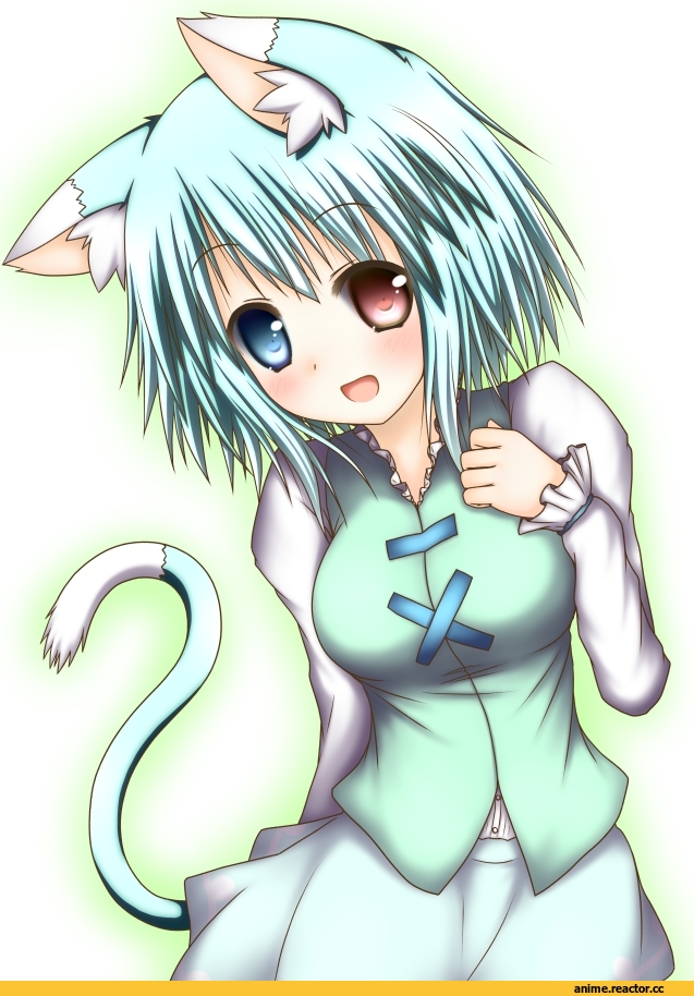 touhou, Tatara Kogasa, neko, Animal Ears, Anime