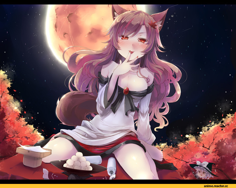 Touhou Project, Hakurei Reimu, Imaizumi Kagerou, Kirisame Marisa, Shin (New), Inumimi, Animal Ears, Anime