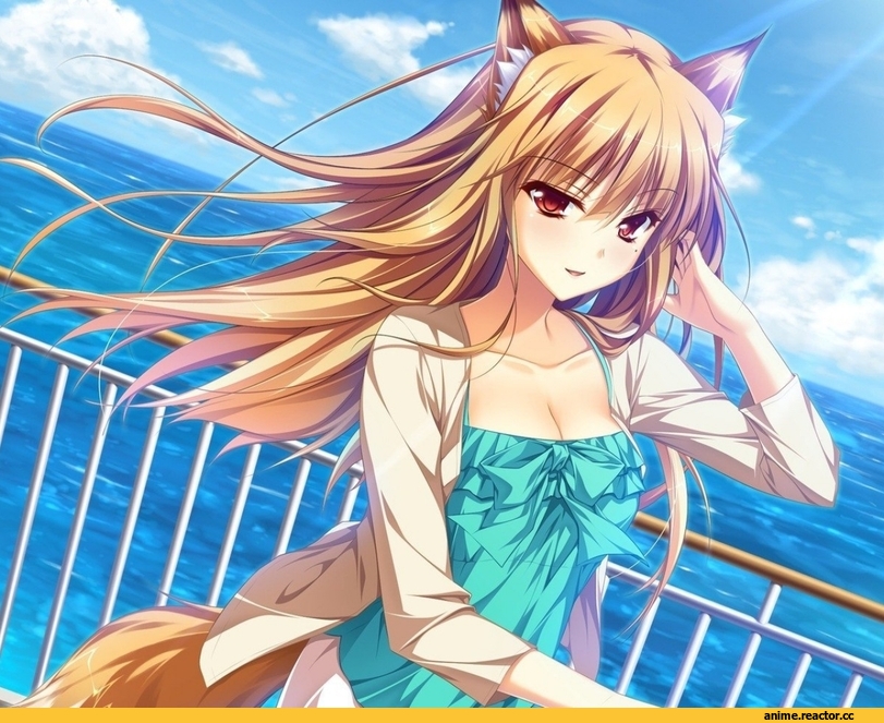 otomimi infinity, miyama kon, Kitsune, Animal Ears, Foreign VN, Anime